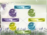 보라 꽃 PPT 템플릿 마음의 안정을 주는 라벤더_슬라이드11