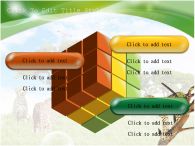 나무 위 치타 푸른하늘 PPT 템플릿 세렝게티, 여러 모습의 치타_슬라이드13