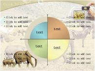 코뿔소 코끼리와 코뿔소 PPT 템플릿 아프리카의 동물과 사진찍는 손_슬라이드8