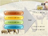 코뿔소 코끼리와 코뿔소 PPT 템플릿 아프리카의 동물과 사진찍는 손_슬라이드11