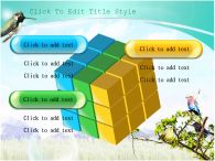 초원 나무에 새 PPT 템플릿 자연풍경 속 다양한 종류의 새_슬라이드10