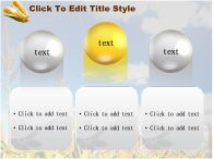 시골 나무 PPT 템플릿 가을 풍경 속 옥수수_슬라이드7