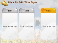 시골 나무 PPT 템플릿 가을 풍경 속 옥수수_슬라이드11