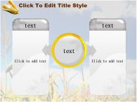 시골 나무 PPT 템플릿 가을 풍경 속 옥수수_슬라이드13