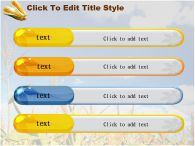 시골 나무 PPT 템플릿 가을 풍경 속 옥수수_슬라이드18
