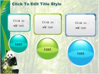 팬더 곰 PPT 템플릿 대나무 숲속의 판다들_슬라이드20