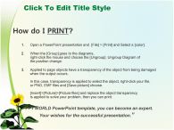 풍경 꽃 PPT 템플릿 푸른 하늘 속 해바라기_슬라이드4