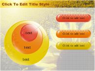 꽃 들판 PPT 템플릿 해바라기 꽃밭_슬라이드9