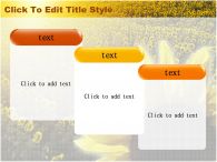 꽃 들판 PPT 템플릿 해바라기 꽃밭_슬라이드16