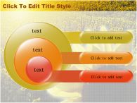꽃 들판 PPT 템플릿 해바라기 꽃밭_슬라이드17