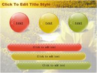 꽃 들판 PPT 템플릿 해바라기 꽃밭_슬라이드19