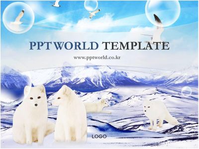 눈 하얀색 PPT 템플릿 북극의 여우(메인)