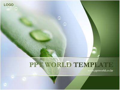 ppt 템플릿 PPT 템플릿 나뭇잎과물방울