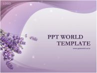 고급형 신비로움 PPT 템플릿 라벤더와물결배경템플릿_슬라이드1