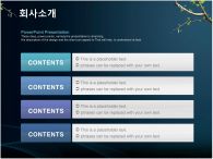 ppt 템플릿 PPT 템플릿 회사소개서(자동완성형포함)_슬라이드6