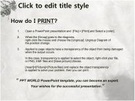 동양적인 느낌의 홍보자료 식물 PPT 템플릿 [기본형]동양적인 느낌의 홍보자료2_슬라이드3