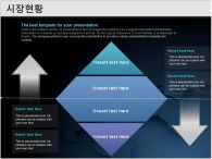 경제 표준회사소개서 PPT 템플릿 [고급형]표준회사소개서(자동완성형 포함)_슬라이드13