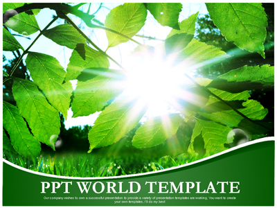 풍경 초록 숲 템플릿 PPT 템플릿 [고급형]초록 숲 템플릿(자동완성형 포함)(메인)