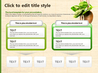 시금치 토마토 PPT 템플릿 친환경 유기농 야채 템플릿(자동완성형포함)_슬라이드22