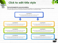 녹색 장판 PPT 템플릿 돌위의 나뭇잎과 물한잔의 여유_슬라이드9