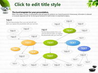 녹색 장판 PPT 템플릿 돌위의 나뭇잎과 물한잔의 여유_슬라이드10