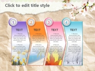 nature life PPT 템플릿 봄날의 벚꽃(자동완성형포함)_슬라이드14