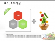 마늘 호박 PPT 템플릿 친환경 유기농 야채식단 사업 제안서(자동완성형포함)_슬라이드21