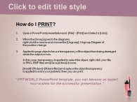 일정 대차대조표 PPT 템플릿 핑크 뷰티 코스메틱(자동완성형포함)_슬라이드4