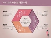 일정 대차대조표 PPT 템플릿 핑크 뷰티 코스메틱(자동완성형포함)_슬라이드23