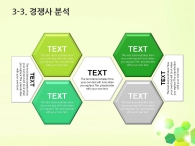 예상수익 세부일정계획 PPT 템플릿 다각형 그린 패턴 그래픽(자동완성형포함)_슬라이드15