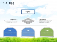 사람 음식 PPT 템플릿 친환경 유기농 제품 홍보 기획서(자동완성형포함)_슬라이드5