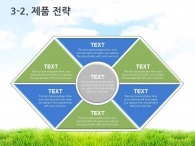 사람 음식 PPT 템플릿 친환경 유기농 제품 홍보 기획서(자동완성형포함)_슬라이드16